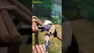 Badanku gemuk siapakah aku ? 