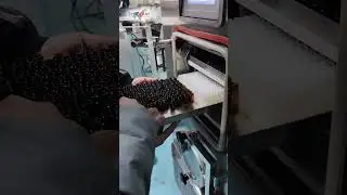 Blood freeze drying 