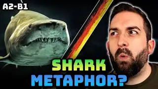 Rammstein “Haifisch” lyrics meaning explained: symbolism, metaphors & German (A2–B1)