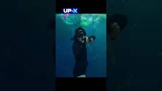 Акула утащила девушку на дно океана 