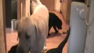 MOV048