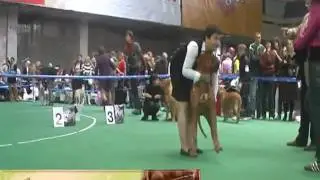 Лолита Ла Фантен
