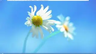 Windows Server 2012 DHCP Reservations