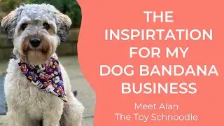 Meet The Inspiration Behind My Business: Alan The Toy Schnoodle