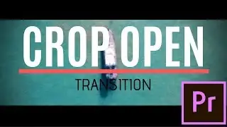 CROP OPEN TRANSITION | EXPLAINED IN 100 SECONDS | LIGHTS UP