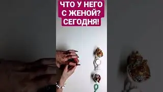 Что у него с женой? СЕГОДНЯ!🪃💯🤺💔 