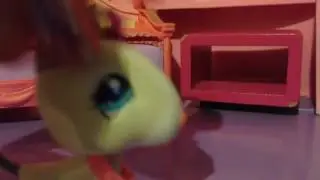 LPS:LNYCC