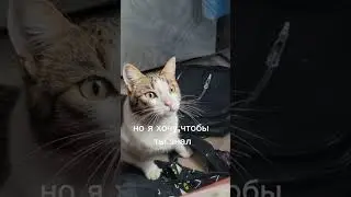 3 октября 2024 г.