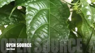 open source, josef resl