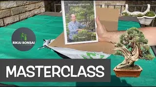 Rikai Bonsai || Updates and New Trees
