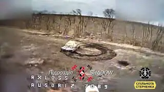 Підсмажили танчик