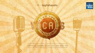 Funk Soul Vintage Vocal Loops | Demo Track