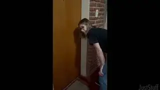 Cute Videos from Reddit