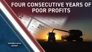 Tough Reality in Agriculture: Farmers Are Facing Four Consecutive Years of Poor Profits.
