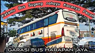 Jalan jalan Siang ke garasi Po Harapan Jaya || Maospati Magetan