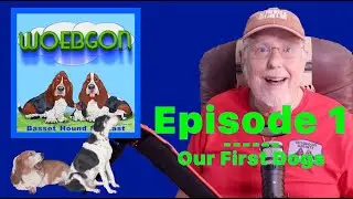 Our First Dogs - WOEBGON the Basset Hound Podcast -- Episode 1