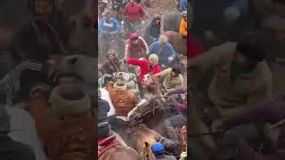 Маҳорати човандозо