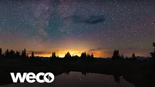 Alsked - Stars ⭐️ (Official Video)
