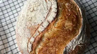 Xamirturushli non tayyorlanishi #xamirturushlinon #zakvaskalinon #uzbekistan @sourdough_pearl_uzbek