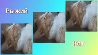Васятка отдыхает... 