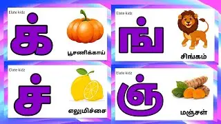 க் ங் ச் ஞ் / mei eluthukkal / learn ik ing ich for kids @Elatekidz-ql1yk