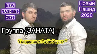 Группа Заната 