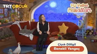 Kız Kulesi Masalları I Benekli Yengeç Masalı I Çiçek Dilligil
