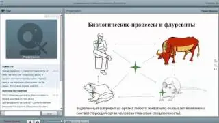САД Флуревиты — научные и прикладные исследования   Краснов М  26 09 16