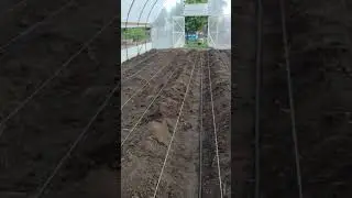 #shorts Готовим бугры для клубники