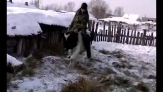 Деревенский ковбой!!!