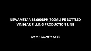 Newamstar 15000BPH Vinegar Combi Line