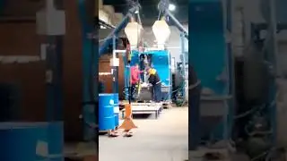 Что они делают? 😲