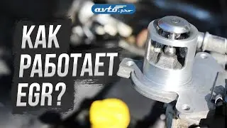 Система EGR: что это, зачем она нужна и можно ли ее отключить