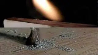 slow motion photo T1