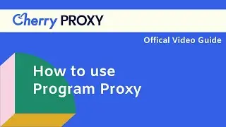 How to use program proxy?