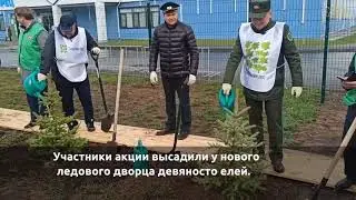 Министр лесного хозяйства РТ принял участие в акции «Сохраним лес» в Алексеевском