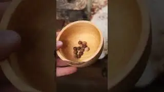 Making a Wood Bracelet out of Mountain Mahogany