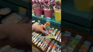 КвАРТал | Вечный маркет | СПБ