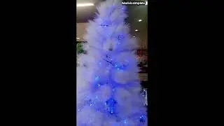 decor1