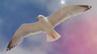 Обратите внимание ❗️— Одна в этом мире