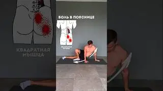 2 Exercises for Lower Back Pain
