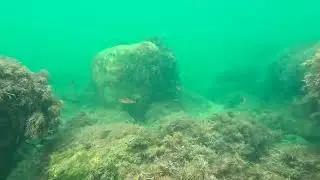 3 сентября. Анапа.