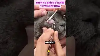 HIS CAT HAD THIS WITHOUT HIM KNOWING 😨