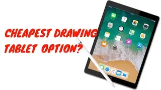 $395 Ipad and Procreate Review