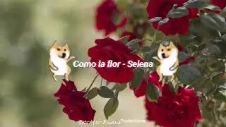 Selena - Como la flor (Letra)