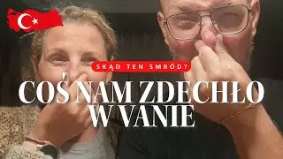 Coś nam zdechło w vanie! Skąd ten smród?