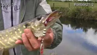 DUO vs Pontoon21: pike & perch fishing lures test. Рыбалка: ловля щуки и окуня на воблер и блесну.