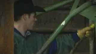 PBR 20th Anniversary: Ross Coleman