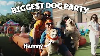 Is this the BEST DOG PARTY in the WORLD?