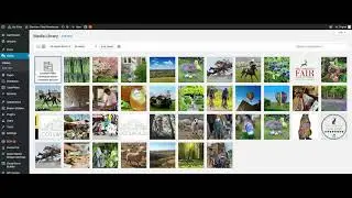 How to upload a pdf file and find the url of the uploaded file